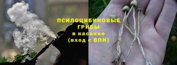 прущая мука Алексин