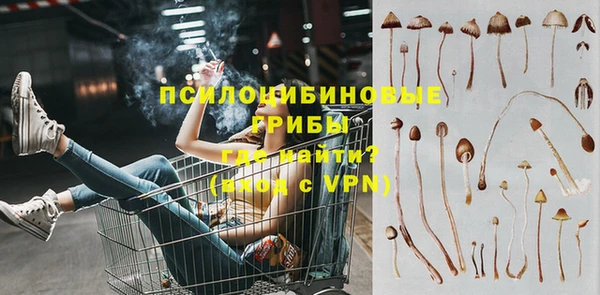прущая мука Алексин