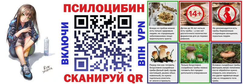 Галлюциногенные грибы мухоморы  МЕГА сайт  Жуков  дарнет шоп 